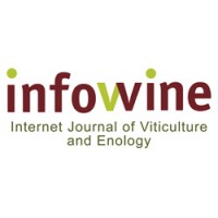 Infowine logo, Infowine contact details