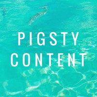 Pigsty Content logo, Pigsty Content contact details