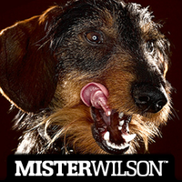 MISTERWILSON logo, MISTERWILSON contact details