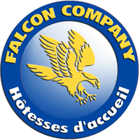 FALCON COMPANY logo, FALCON COMPANY contact details