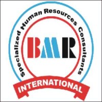 BMR International logo, BMR International contact details