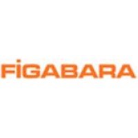 FİGABARA logo, FİGABARA contact details