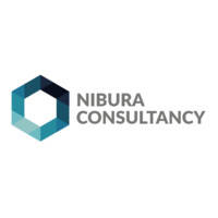 Nibura Consultancy Trade and Investment AB logo, Nibura Consultancy Trade and Investment AB contact details