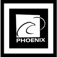 Phoenix Psicologia logo, Phoenix Psicologia contact details