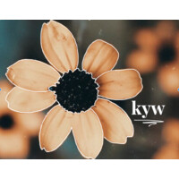 KYW LLC logo, KYW LLC contact details