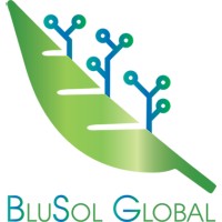 BluSol Global logo, BluSol Global contact details