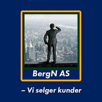 BergN AS logo, BergN AS contact details