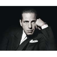 Bogart logo, Bogart contact details