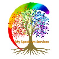 My Spectrum Services logo, My Spectrum Services contact details