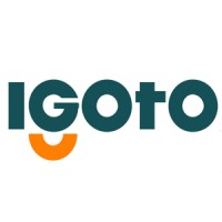 Zhejiang Igoto Electric Co., Ltd. logo, Zhejiang Igoto Electric Co., Ltd. contact details