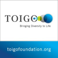 Robert Toigo Foundation logo, Robert Toigo Foundation contact details