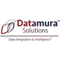 Datamura Solutions logo, Datamura Solutions contact details