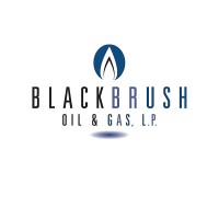 BlackBrush Oil & Gas, LP logo, BlackBrush Oil & Gas, LP contact details