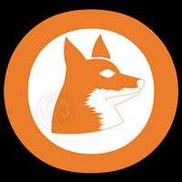 FOX Consultoria logo, FOX Consultoria contact details