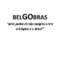 BELGOBRAS Consultoria Ltda logo, BELGOBRAS Consultoria Ltda contact details