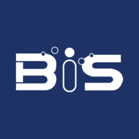 Bis Consulting logo, Bis Consulting contact details