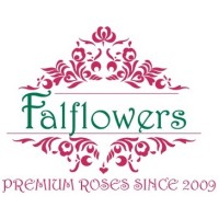 Falflowers logo, Falflowers contact details