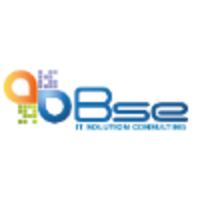 BSE Consulting logo, BSE Consulting contact details