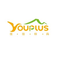 Youplus Education logo, Youplus Education contact details