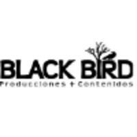 Black Bird producciones + contenidos logo, Black Bird producciones + contenidos contact details