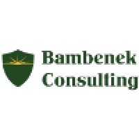 Bambenek Consulting logo, Bambenek Consulting contact details