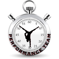 PerformanceTeam Sportif Hizmetler logo, PerformanceTeam Sportif Hizmetler contact details