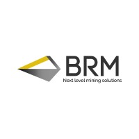 BRM BRAZIL MINING logo, BRM BRAZIL MINING contact details