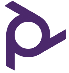 People's Palace Projects Ltd logo, People's Palace Projects Ltd contact details