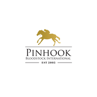 Pinhook Bloodstock International logo, Pinhook Bloodstock International contact details