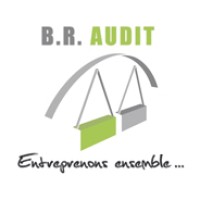 BR Audit logo, BR Audit contact details