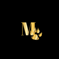 Mufasa Creative & Co. logo, Mufasa Creative & Co. contact details