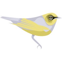 Silvereye logo, Silvereye contact details