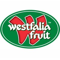 Westfalia Marketing B.V. logo, Westfalia Marketing B.V. contact details