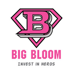 Big Bloom Investment logo, Big Bloom Investment contact details