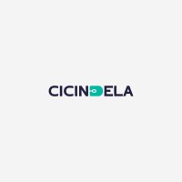 Cicindela Solutions logo, Cicindela Solutions contact details