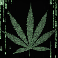 Cannabytes logo, Cannabytes contact details