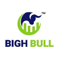 BIGH BULL logo, BIGH BULL contact details