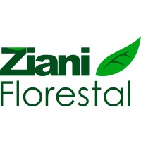 Ziani Florestal logo, Ziani Florestal contact details