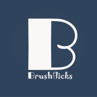 Brushflicks logo, Brushflicks contact details