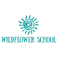 Wildflower Preschool & Kindergarten logo, Wildflower Preschool & Kindergarten contact details