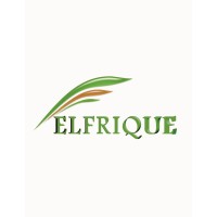 Elfrique logo, Elfrique contact details