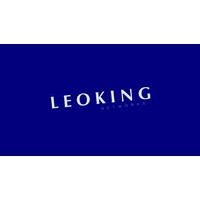 LEOKING NETWORKS logo, LEOKING NETWORKS contact details