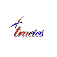 Trueies Smart Surveillance (TSS) logo, Trueies Smart Surveillance (TSS) contact details