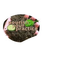 Nourish Your Practice logo, Nourish Your Practice contact details