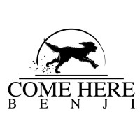 Come Here Benji Productions logo, Come Here Benji Productions contact details