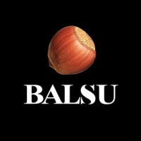 Balsu Usa Inc logo, Balsu Usa Inc contact details