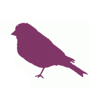 THE PURPLE FINCH logo, THE PURPLE FINCH contact details