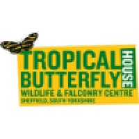 Tropical Butterfly House, Wildlife & Falconry Centre logo, Tropical Butterfly House, Wildlife & Falconry Centre contact details