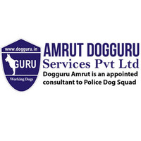 Amrut Dog Guru services Private limited logo, Amrut Dog Guru services Private limited contact details