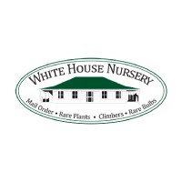 White House Nursery logo, White House Nursery contact details